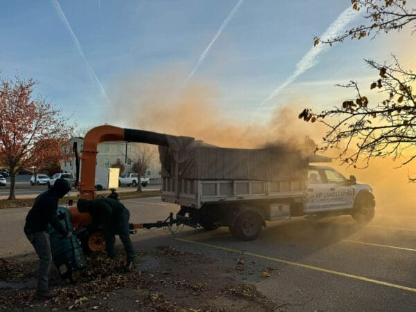 Gladwyne, PA Commercial Landscape Maintenance