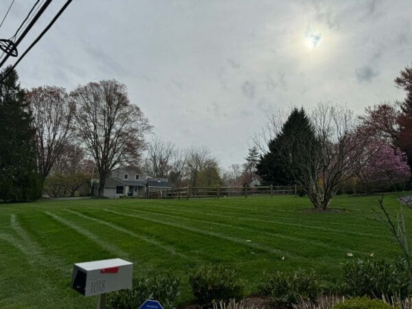 Landscape Maintenance Services in Gladwyne, PA