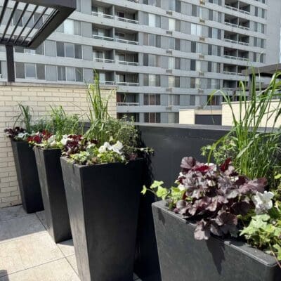 Seasonal Planters & Enhancements Gladwyne, PA