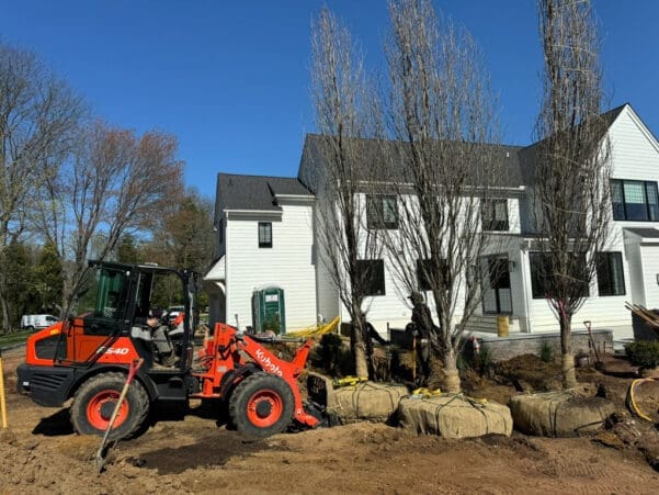 Gladwyne, PA Tree Transplanting Services