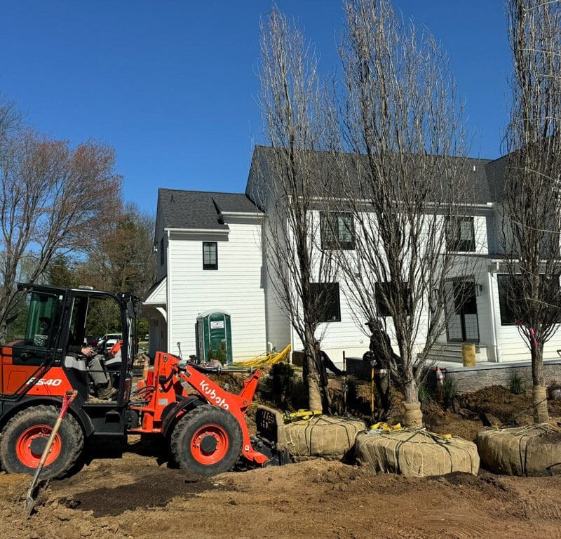 Gladwyne, PA Tree Transplanting Services
