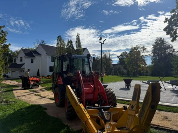 Gladwyne, PA Tree Transplanting Services