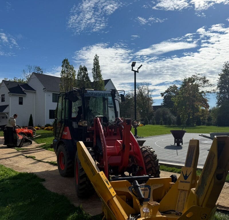 Gladwyne, PA Tree Transplanting Services