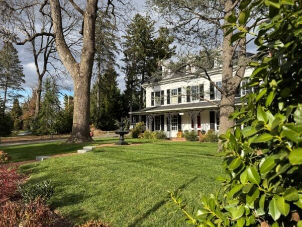 Gladwyne, PA Tree Transplanting Services