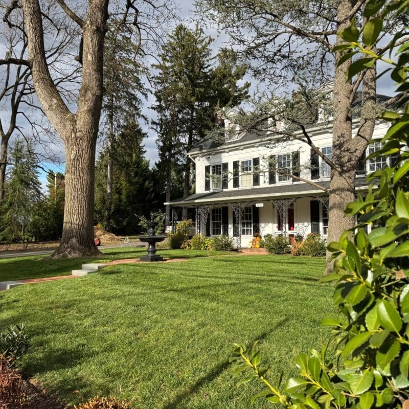 Gladwyne, PA Tree Transplanting Services