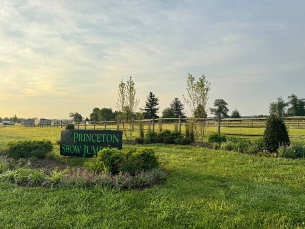 Landscape Maintenance Services in Gladwyne, PA