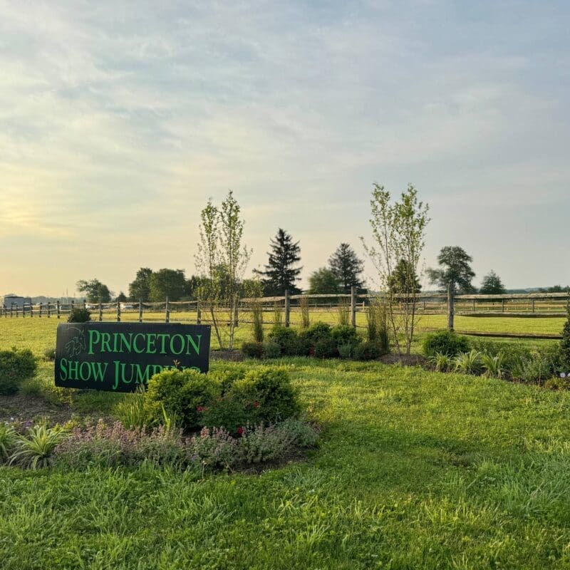 Landscape Maintenance Services in Gladwyne, PA