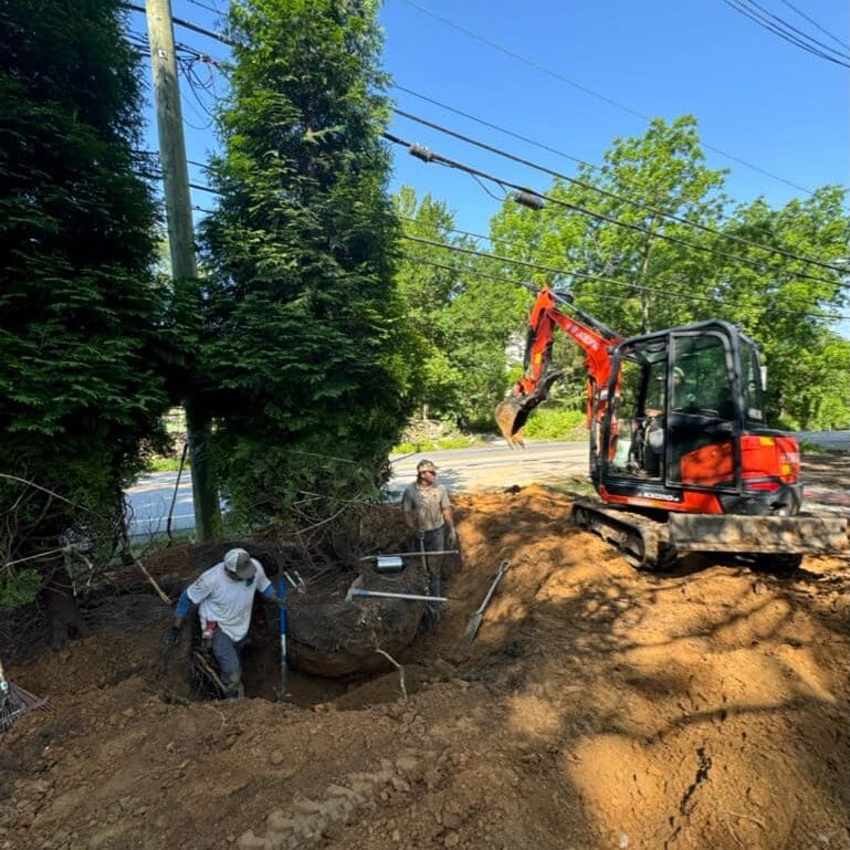 Gladwyne, PA Tree Transplanting Services