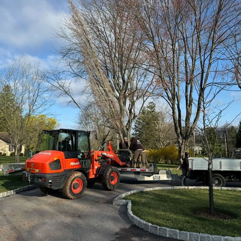 blue-river-landscape-design - tree-moving - 28